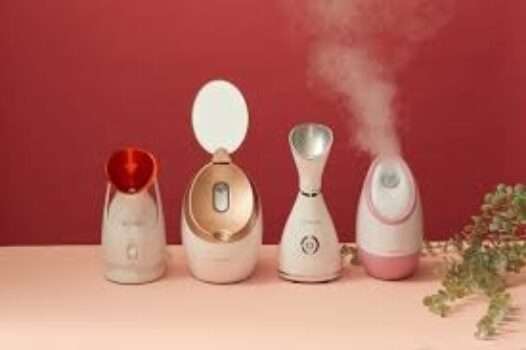 10 Best Facial Steamers 2025
