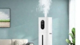 Top 10 Best Humidifiers For Home 2025