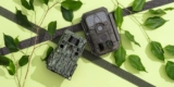 Top 10 Best Trail Cameras 2025